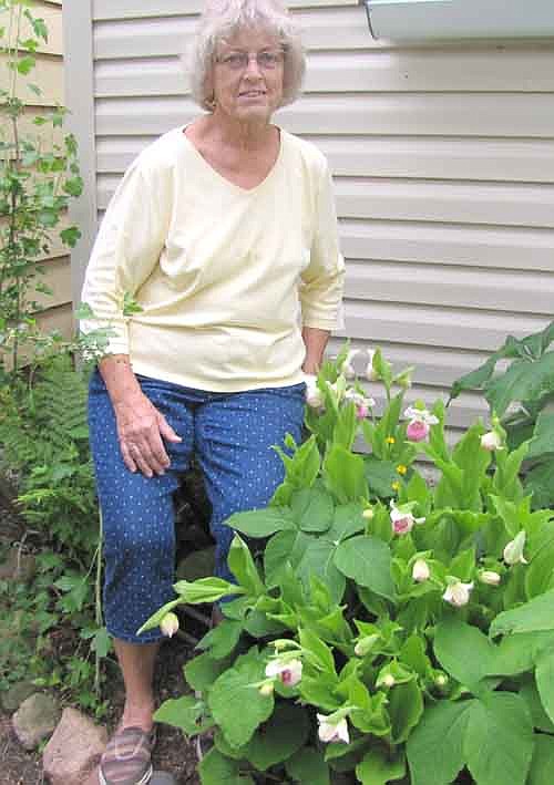 Anita Fjelstad, who owned The Flower Barn in Stewartville for about 13 years, displays the pink lady's-slippers in her backyard garden along Third Street Northwest. "I love the beauty of nature,"&#8200;she said.