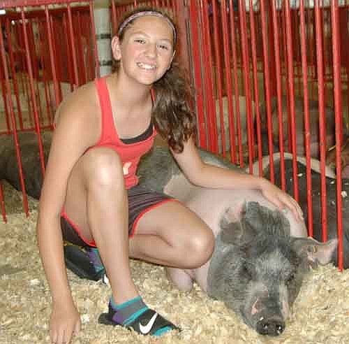 Samantha Koenigs, 13, a member of the High Forest Chippewa Champions 4-H Club, showed two market barrows and a market gilt at this year's Olmsted County Fair.
