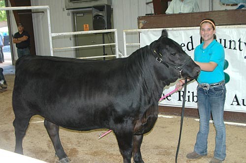 Elizabeth Hurley of the High Forest Chippewa Champions showed the grand champion market heifer at this year's Olmsted County Fair. All-American Co-op, Progressive Ag bid $1,025 for the champion animal at this year's Blue Ribbon Auction.