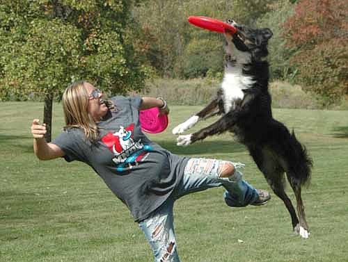 A Minnesota disc dog in mid-flight catches a Frisbee at the Stewartville Area Chamber of Commerce's second annual Pets in the Park at Florence Park on Saturday, Oct. 10. 