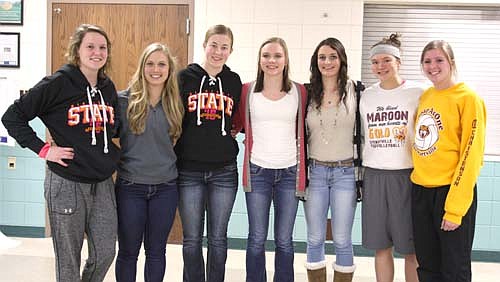 Stewartville volleyball players named to the 2015 HVL All-Conference team included, from left, Amanda O'Connell (honorable mention), Emily Branstad, Jenna Willenborg, Karissa Kime, Tara Rogers, Julianne Waugh (honorable mention) and Libby Christenson (honorable mention).