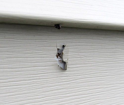 After two men took target practice on Sunday, Dec. 6, four bullets ended up in the siding of Jon Bernhardt's home at the 2200 block of Petersen Drive Northwest. "I'm hoping they give me a call to apologize," Bernhardt said.