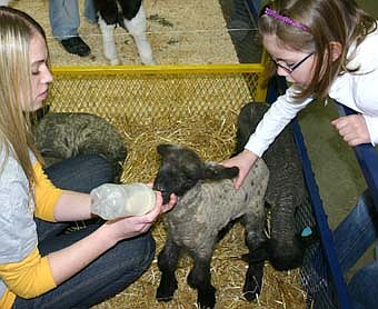 NOURISHMENT FOR THE YOUNG -- Kayla Kafka of the Stewartville High School FFA, left, offers milk to a lamb at the annual ag fair at Stewartville High School last week. Kailyn Manthei, a student at Bonner Elementary School, right, leans down to meet the lamb. 