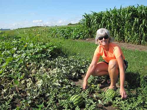 Nicky Askelson poses near her plot in the Stewartville Community Garden in 2012. Askelson and her husband Jim harvested about 30 watermelons, 30 cantaloupes and much more that year.