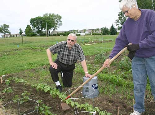 Mel Goldtrap of Stewartville, right, tends to her plot in the city's community garden under the watchful eye of George Menshik, a master gardener, in 2010.