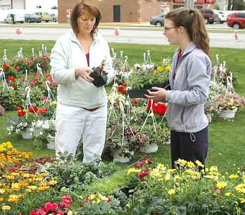 Shoppers at Stewartville's annual citywide garage sale came from at least two neighboring states last week. Jill Chopp and her daughter Anna, of Stewartville, examine the flowers at a garage sale at the Grisim Bus lot, which offered hundreds of hanging baskets, annuals, perennials, planters and more.