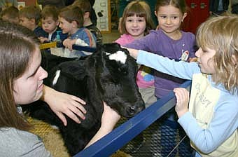 Theresa Twohey, vice president of the Stewartville High School FFA chapter, left, introduces a calf to three girls from Stewartville Early Childhood Family Education (SECFE), including, from left, Anette Guzman, Violet Nelson and Lydia Peterson, at the annual FFA ag fair at the high school last Wednesday, Feb. 20. Hundreds of children from Bonner Elementary School also attended the event, where they met Twohey's calf, along with sheep, pigs, a goat, a donkey, a rabbit and a puppy. Twohey said the event "teaches the kids all about the different aspects of agriculture." 