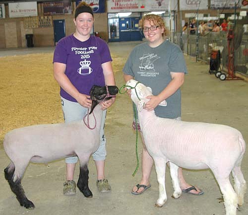 Janae Bredesen of the Rock Dell Indians, left, showed two blackface lambs at this year's Olmsted County Fair. Andrea Parker, 16, also of the Rock Dell Indians, right, showed a Dorset yearling.