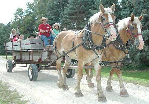 Scores of High Forest and area residents enjoyed horse-drawn wagon rides at the 2015 Old Settlers Day, held on a partly sunny and cool Saturday afternoon, Sept. 12.
