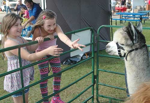 Acelyn Bredesen, 8, of Rochester, left, and Sidney Meyer, 7, of Millville reach for Moon Shadow, an alpaca from Rockie Top Acres of Spring Valley, at the Stewartville Morning Lions Club's annual Fall Festival at the Strikers Corner and Stewartville American Legion Post 164 parking lots on Saturday, Oct. 1.