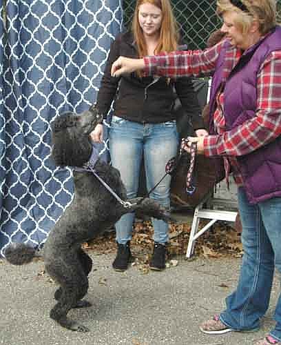 Jill Hildebrandt, right, accompanied by her daughter, Corrie, entices Gabby, the Hildebrandts' standard poodle, to stand at attention for a piece of food during the Pets in the Park talent contest on Saturday, Oct. 8. Corrie and Gabby won first place in the contest.