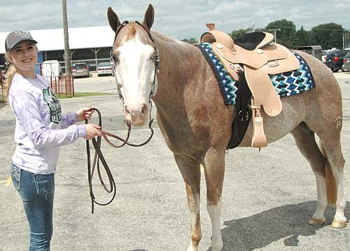 Taylor Howard has brought her horse, Benji, to the Olmsted County Fair for six years. "He's really calm," she said of Benji. "He's got a really good personality."