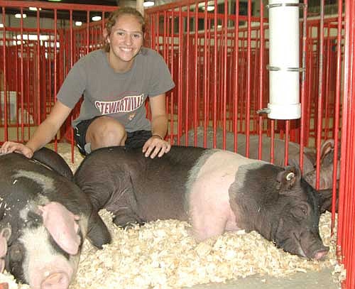 Samantha Koenigs, 15, who will be a sophomore at Stewartville High School, has been a member of the High Forest Chippewa Champions 4-H Club for about six years. Above, she poses with two of the pigs she showed at this year's Olmsted County Fair.
