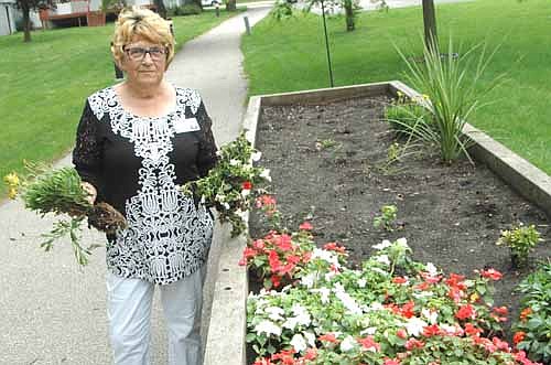Someone stole flowers from one of the three planters near the Stewartville Care Center last week. Sue Warmka, activities director at the Care Center, said the theft most likely occurred some time Tuesday evening, July 3 or Wednesday, July 4. The uprooted and stolen snapdragons and pansies had occupied about 75 percent of the planter's space.