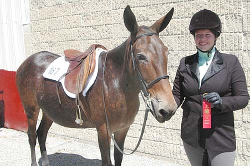 Jessica Skare and her mule, MV Candy Apple, earned a red ribbon in the English Pleasure competition at the Olmsted County Fair. "She's a good mule," Skare said. "She listens really well. She has matured."