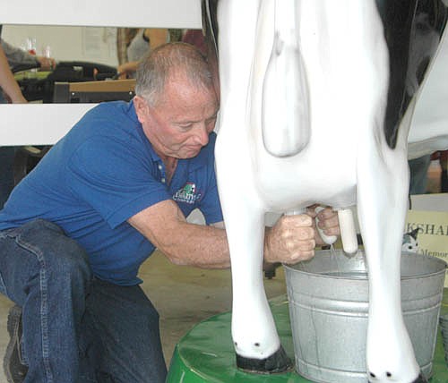 In a close battle, Stewartville Mayor Jimmie-John King placed third among three area mayors who competed to determine who could get the most milk from an imitation cow at the Olmsted County Fair's Dairy Birthing Center on Thursday, July 26. King earned a box of Milk Duds as a consolation prize. For more on the County Fair, see Page 6.